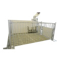 Automatic pig feeder for pig fattening used pig cage